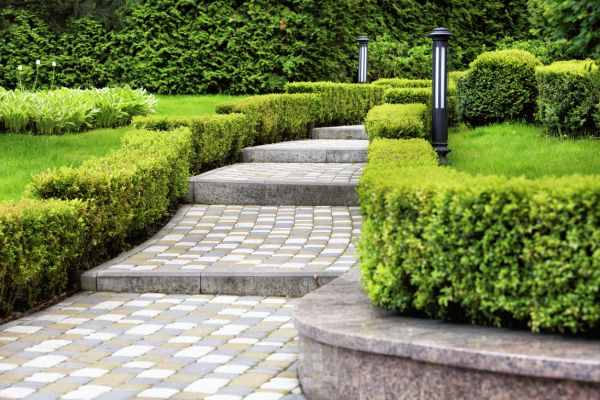 Backyard Remodeling in Parrish