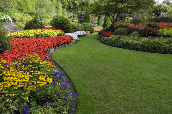 Landscaping Maintenance in Parrish