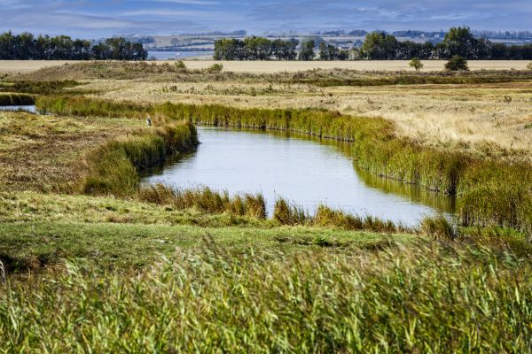 Swale Landscaping in Parrish