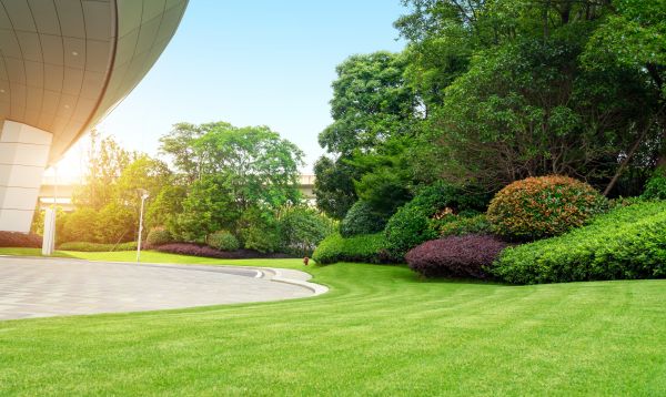 Business Landscape Design in Parrish
