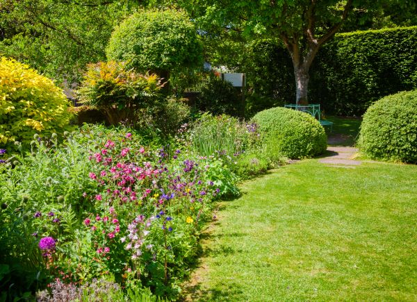 Yard Landscaping Service in Parrish
