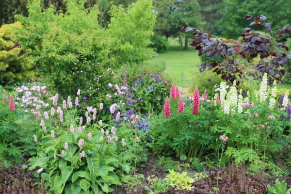 Flower Bed Planting in Parrish