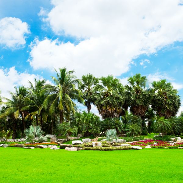 Tropical Landscaping in Parrish