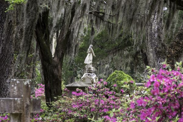 Cemetery Landscaping in Parrish
