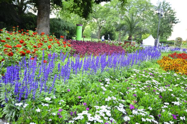 Perennials Planting in Parrish