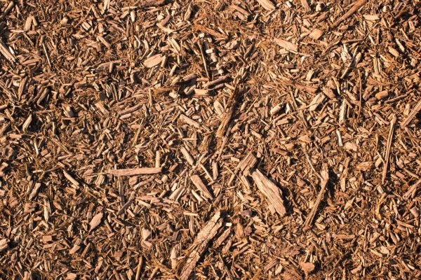 Wood Chips Removal in Parrish