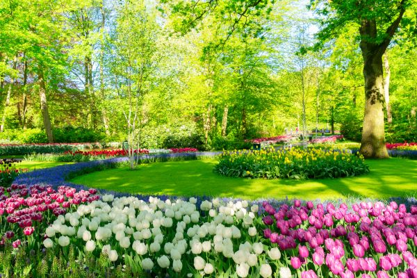 Flower Landscaping in Parrish