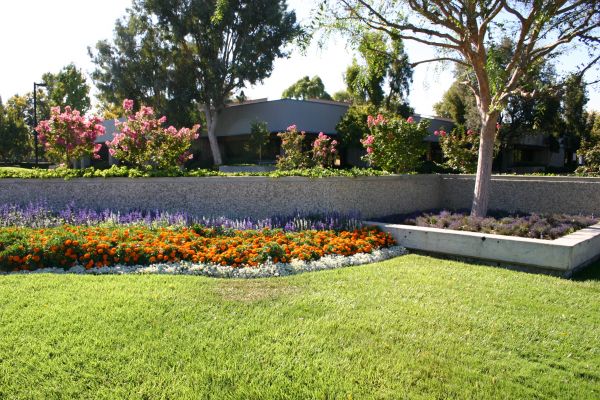 Commercial Landscape Service in Parrish
