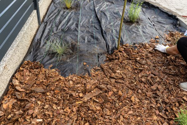 Pine Bark Spreading in Parrish