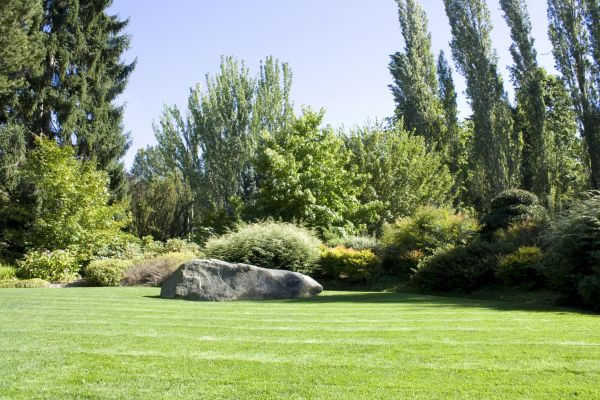 Yard Enlargement in Parrish