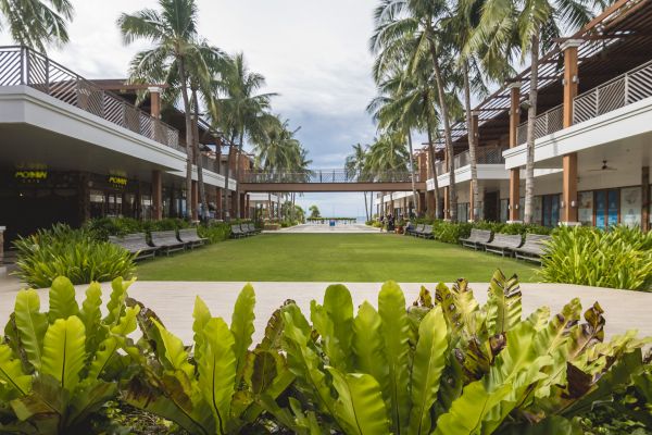 Commercial Lawn Renovation in Parrish