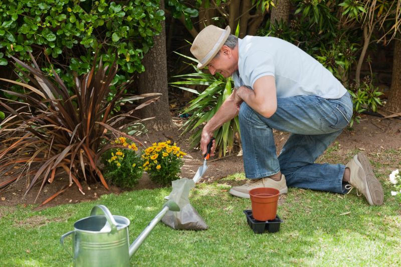Beautiful Garden Features