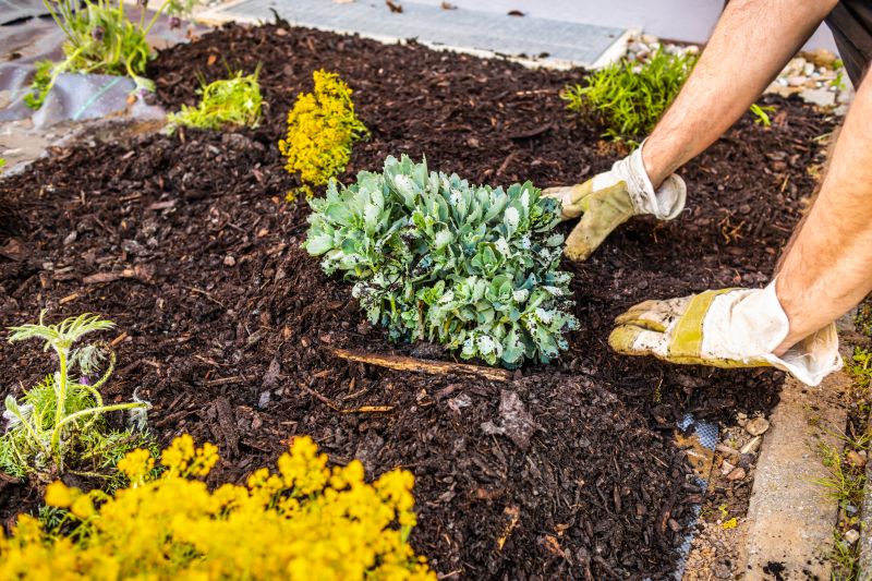 Mulch Landscaping